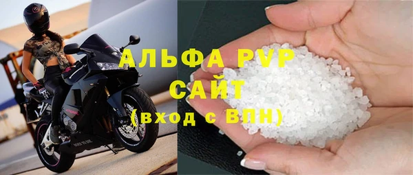 шишки Горно-Алтайск
