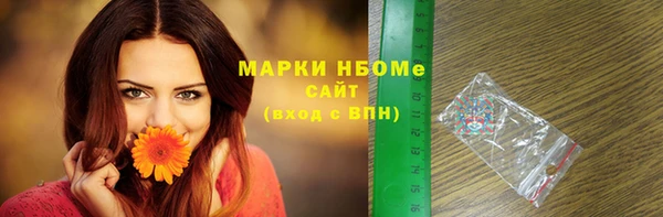 шишки Горно-Алтайск