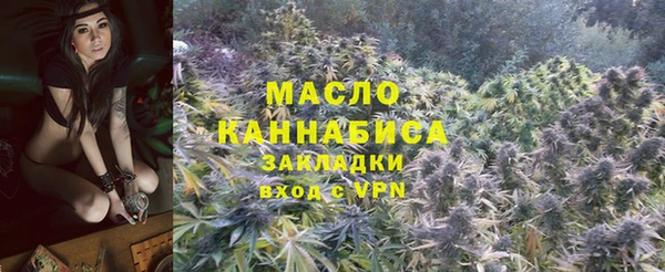 шишки Горно-Алтайск