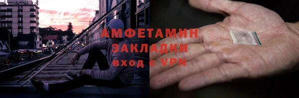шишки Горно-Алтайск