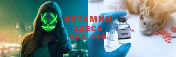 шишки Горно-Алтайск