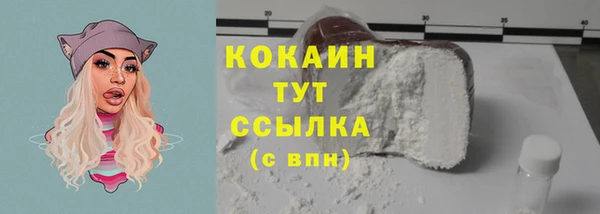 шишки Горнозаводск