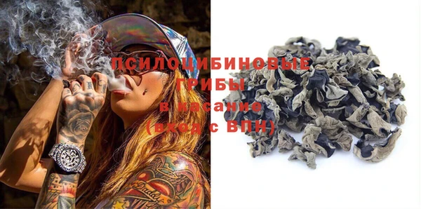 шишки Горнозаводск