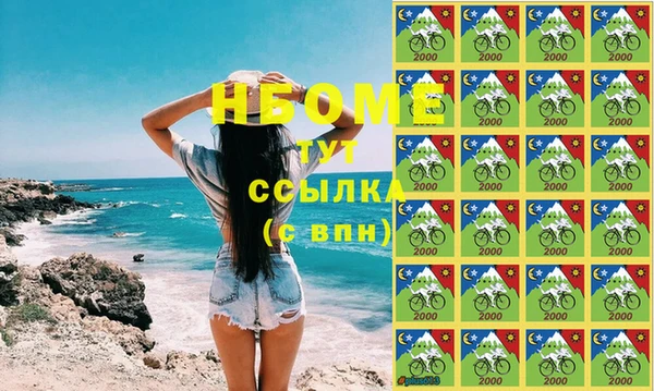 шишки Горно-Алтайск