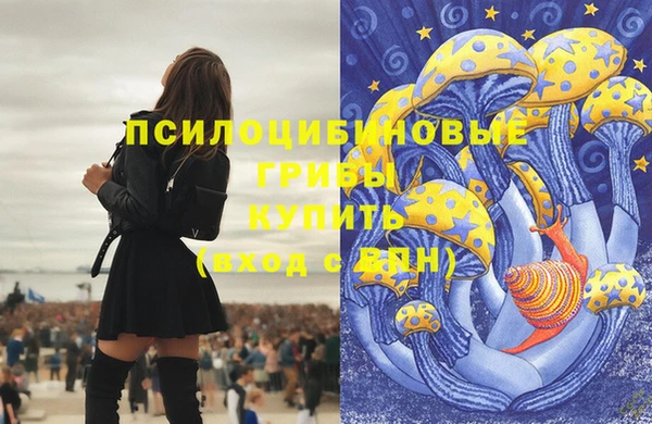 шишки Горно-Алтайск