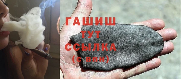 шишки Горно-Алтайск