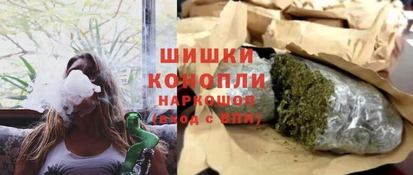 шишки Горнозаводск